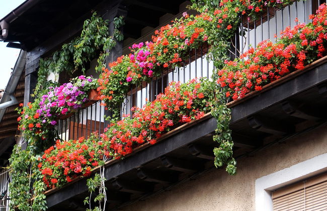 Free tour por Mogarraz - Foto 1