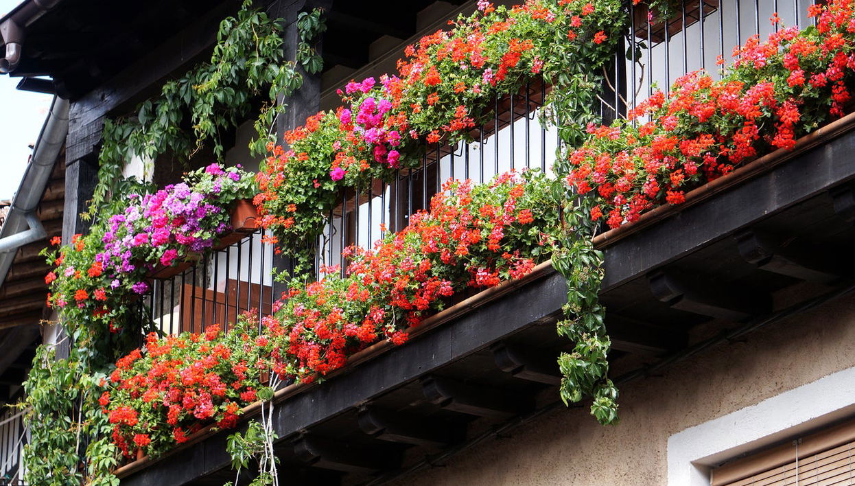 Free tour por Mogarraz - Foto 1