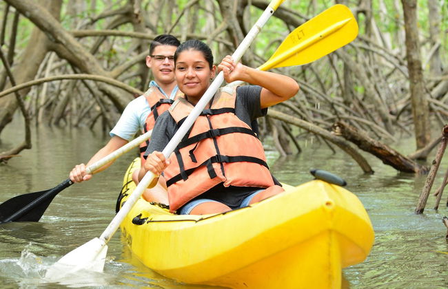 Balade en kayak sur l'île de Damas - Photo 2