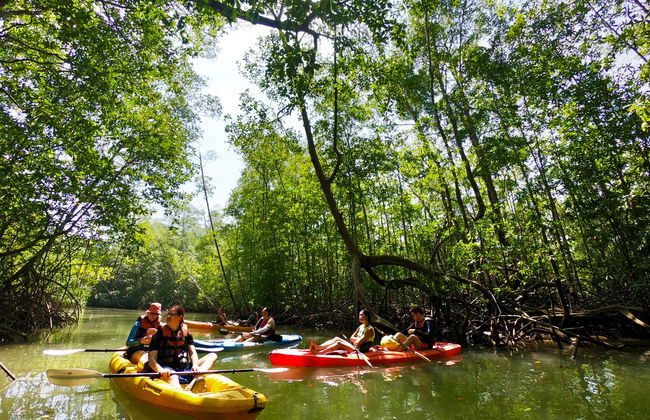 Balade en kayak sur l'île de Damas - Photo 8