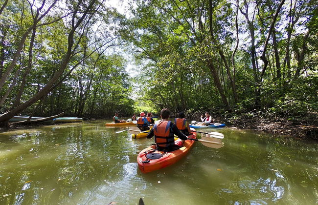 Balade en kayak sur l'île de Damas - Photo 3