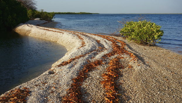 Excursión privada al delta del Salum - Foto 2