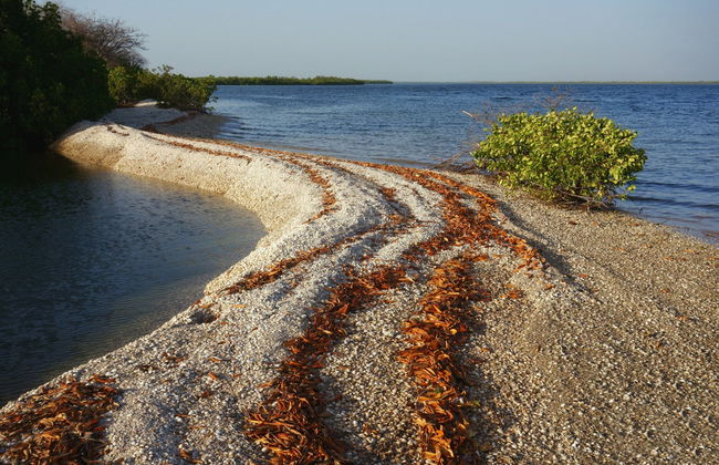 Excursión privada al delta del Salum - Foto 2