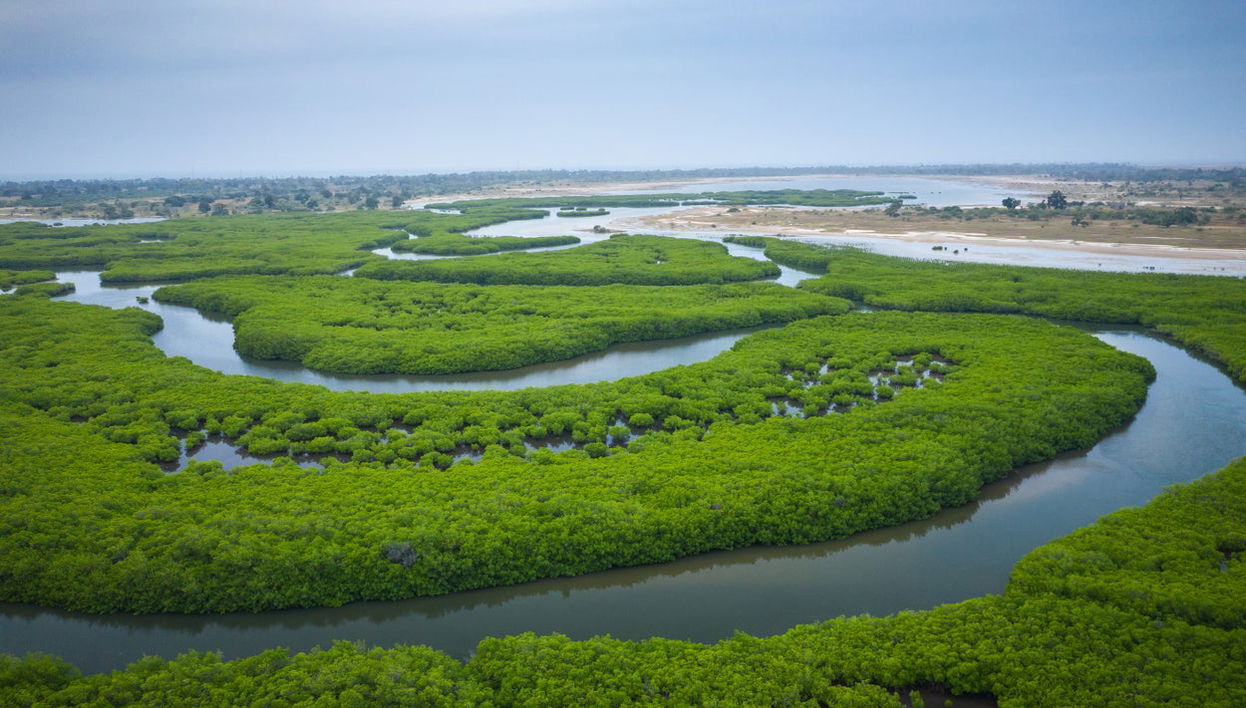 Excursión al delta del Salum - Foto 1