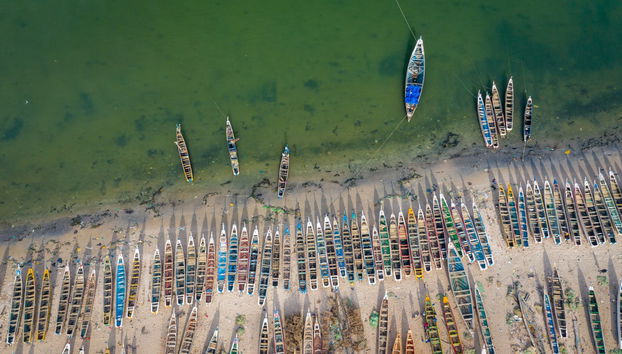 Excursión al delta del Salum - Foto 2
