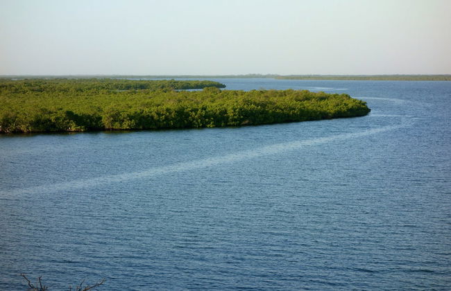 Excursión privada al delta del Salum - Foto 1