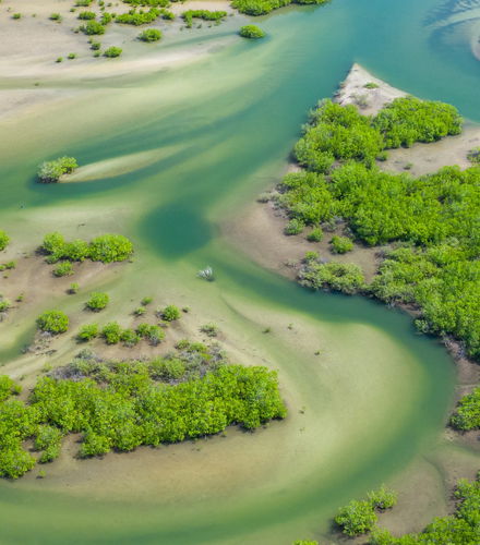 Foto de Excursión al delta del Salum