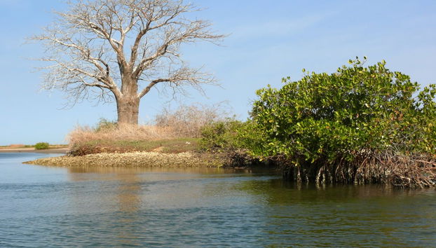 Excursión privada al delta del Salum - Foto 3