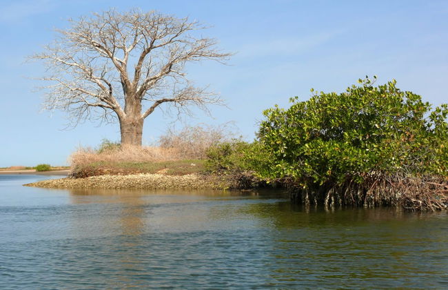 Excursión privada al delta del Salum - Foto 3