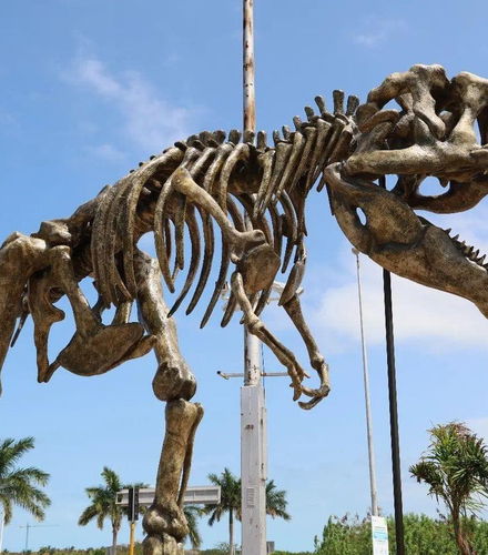 Photo – Meteorite Museum + Jurassic Trail Day Trip