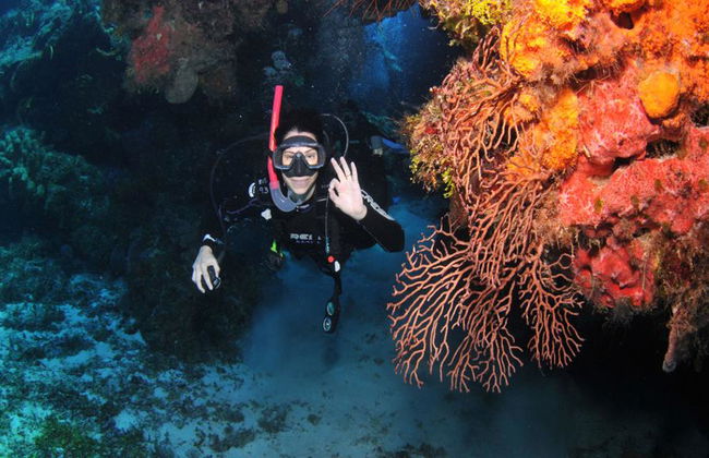 Plongée sous-marine dans les eaux cristallines de Búzios - Photo 22