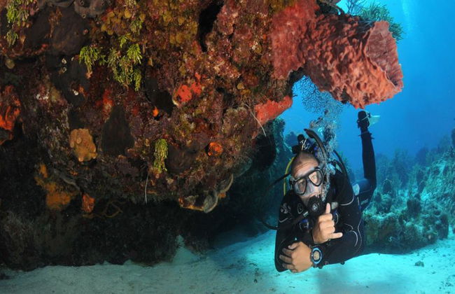 Plongée sous-marine dans les eaux cristallines de Búzios - Photo 23