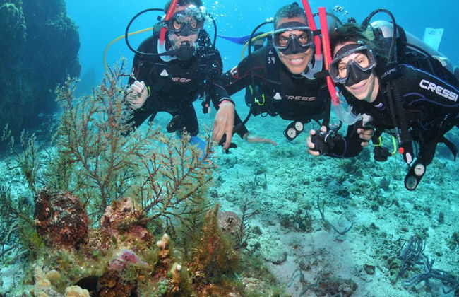 Plongée sous-marine dans les eaux cristallines de Búzios - Photo 9