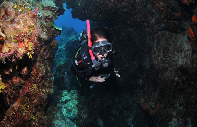 Plongée sous-marine dans les eaux cristallines de Búzios - Photo 12