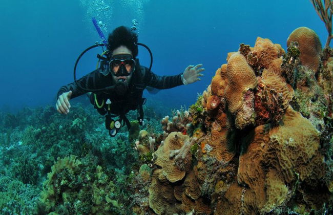 Plongée sous-marine dans les eaux cristallines de Búzios - Photo 24