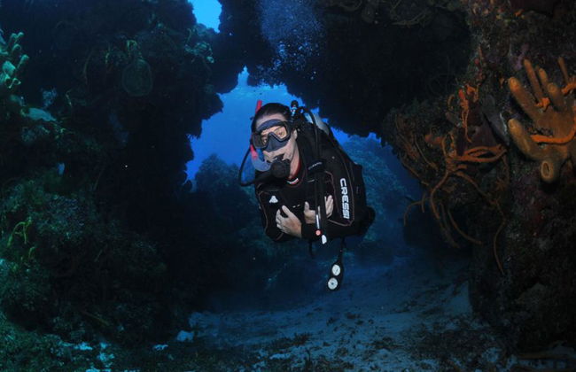 Plongée sous-marine dans les eaux cristallines de Búzios - Photo 14
