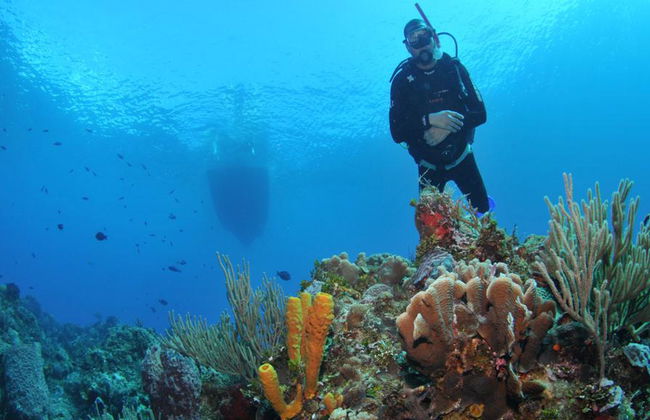 Plongée sous-marine dans les eaux cristallines de Búzios - Photo 15