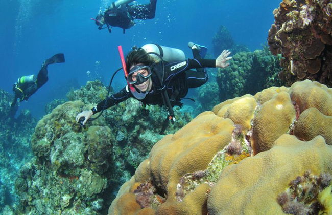 Plongée sous-marine dans les eaux cristallines de Búzios - Photo 10