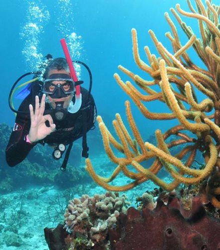 Foto de Buceo en las cristalinas aguas de Búzios