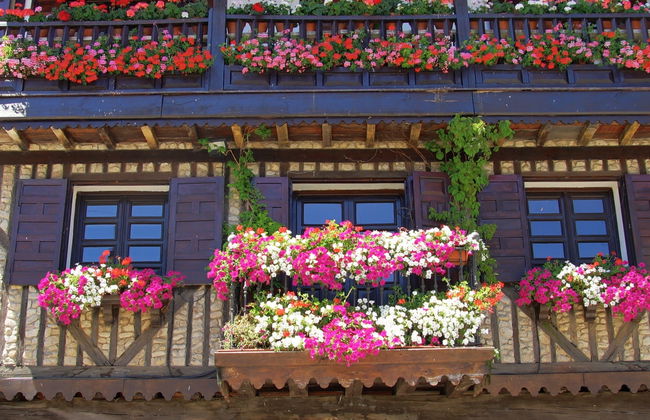 Free tour por La Alberca - Foto 2