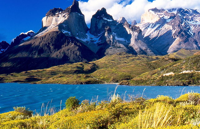 Parc national Torres del Paine - Excursion d'une journée - Photo 5