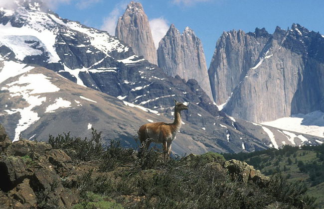 Parc national Torres del Paine - Excursion d'une journée - Photo 2