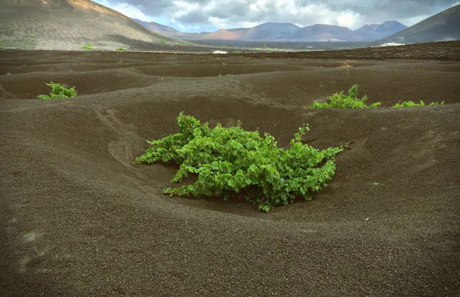 Grand Tour Lanzarote - Foto 5
