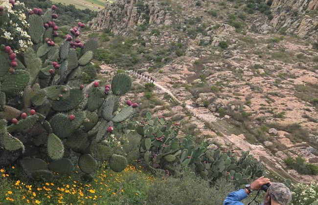 Guanajuato Hiking Tour - Foto 3