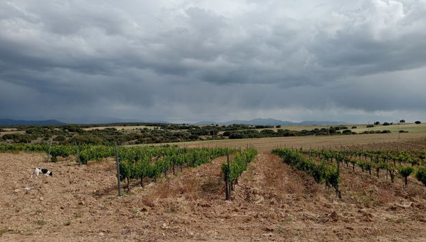 Visita a la bodega Agejas - Foto 2