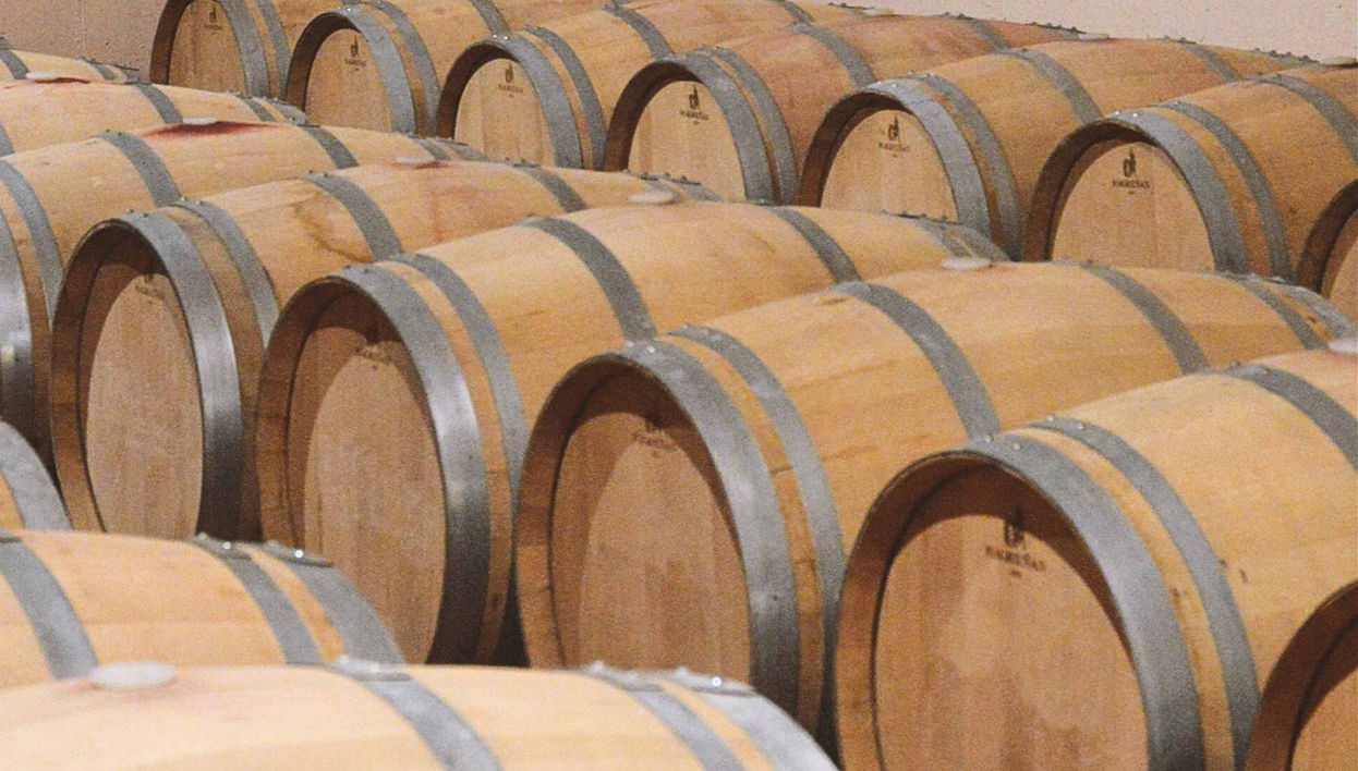 Visita a la bodega Agejas - Foto 1