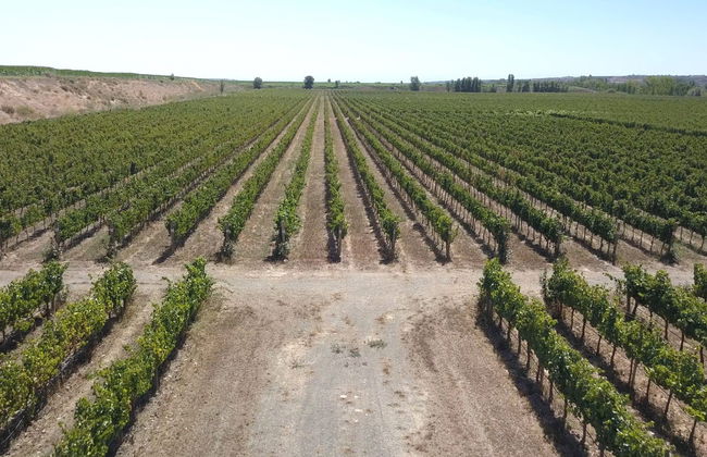 Visita a la bodega Celler Lagravera - Photo 7