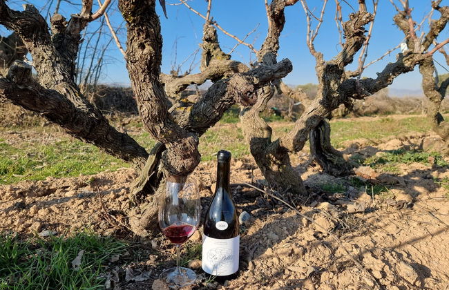 Visita a la bodega Celler Lagravera - Photo 6