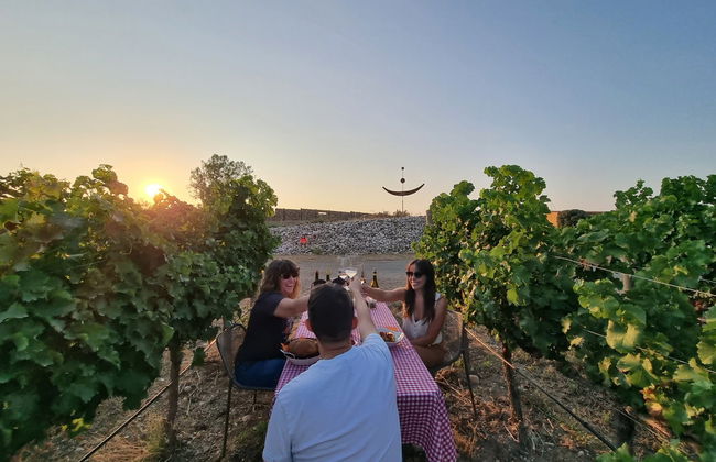 Visita a la bodega Celler Lagravera - Photo 3