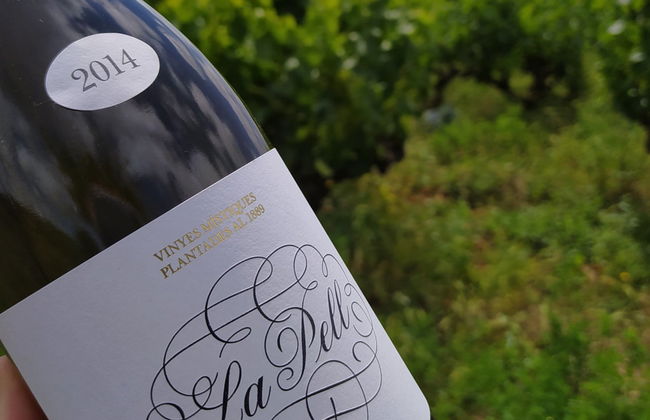 Visita a la bodega Celler Lagravera - Photo 5