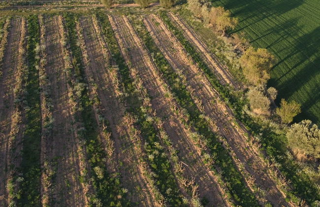Visita a la bodega Celler Lagravera - Photo 8