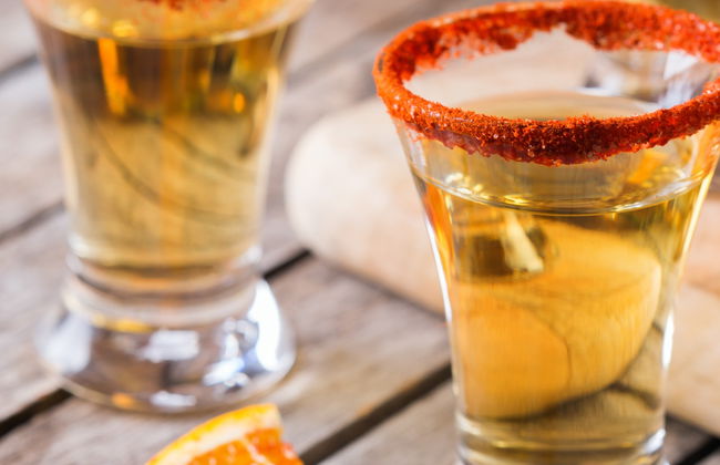 Degustação de tequila e mezcal de Ensenada - Foto 7