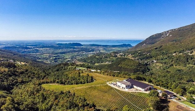 Spiazzi Winery Wine Tasting - Photo 2