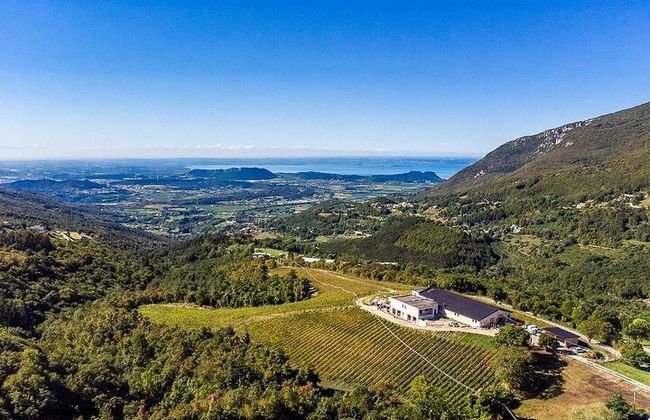 Degustazione di vino in una cantina di Spiazzi - Foto 2