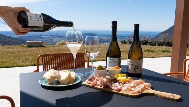 Spiazzi Winery Wine Tasting - Photo 4