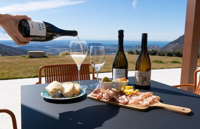 Degustazione di vino in una cantina di Spiazzi - Foto 4