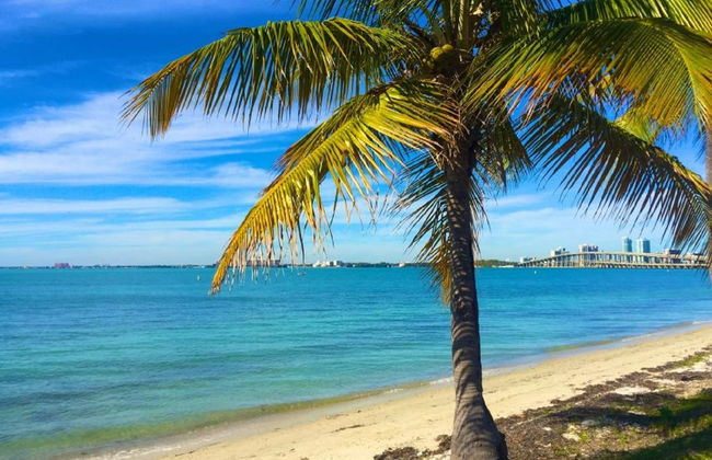 Alquiler de catamarán de vela sin patrón en Miami - Foto 7