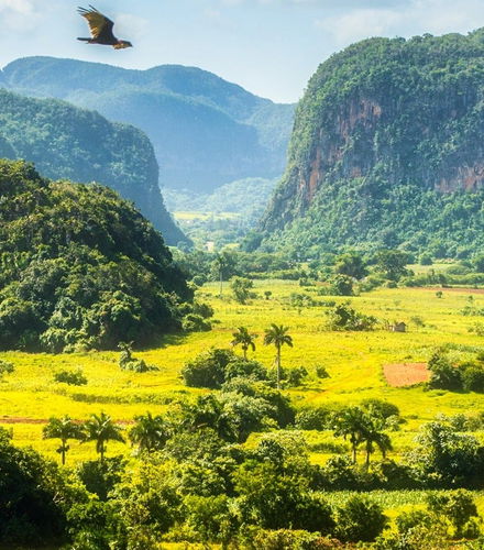Foto de Excursión de 2 días por el Valle de Viñales