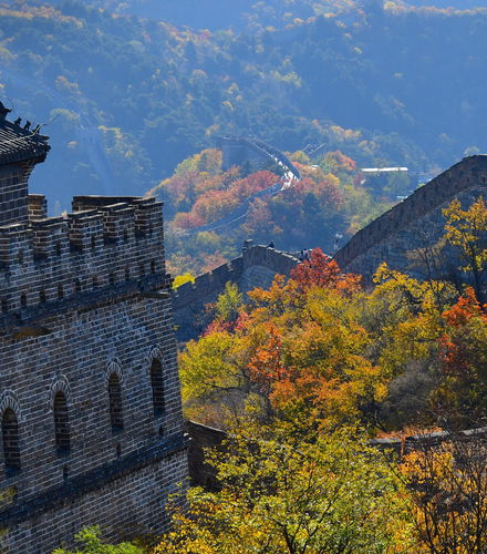 Foto de Excursión a la Gran Muralla China