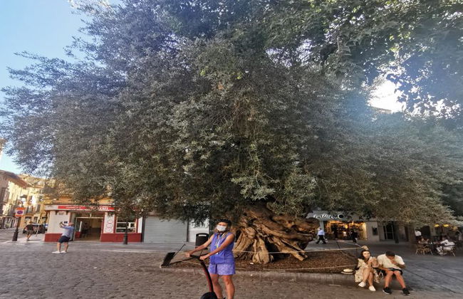 Explora el casco antiguo de Palma con un tour en Segway de 1 hora - Foto 6