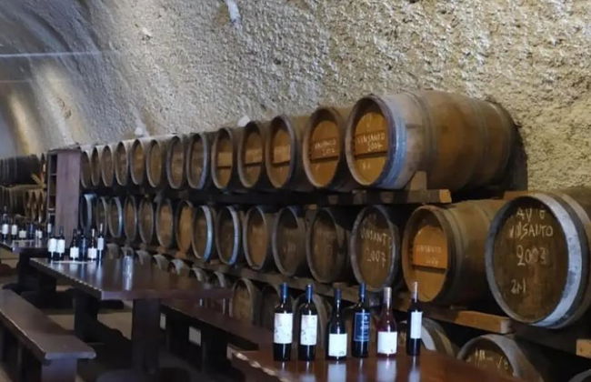 Wine Tasting in the 3 Remarkable Island Wineries with a certifies Wine Guide– Half-Day Private Tour - Photo 3