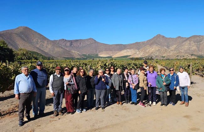 Excursión a la Laguna del Inca y la Viña Sánchez de Loria - Foto 2