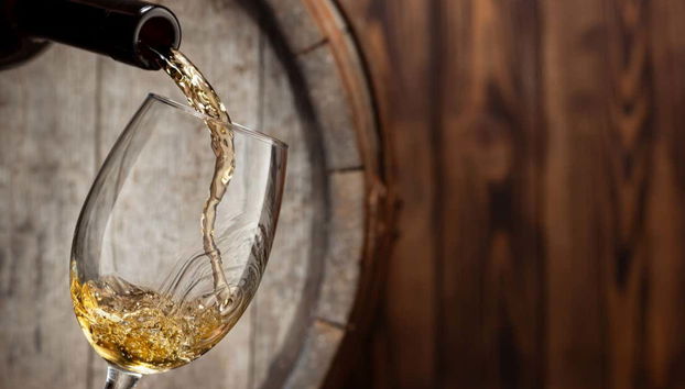 Laguna del Inca & Sánchez de Loria Winery Day Trip - Foto 5