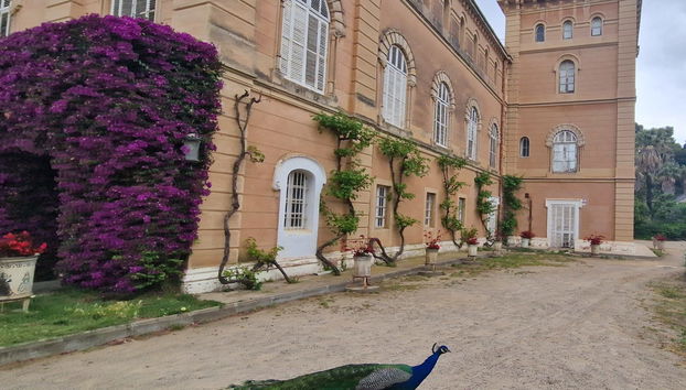 Bienvenue au Parc Samà !