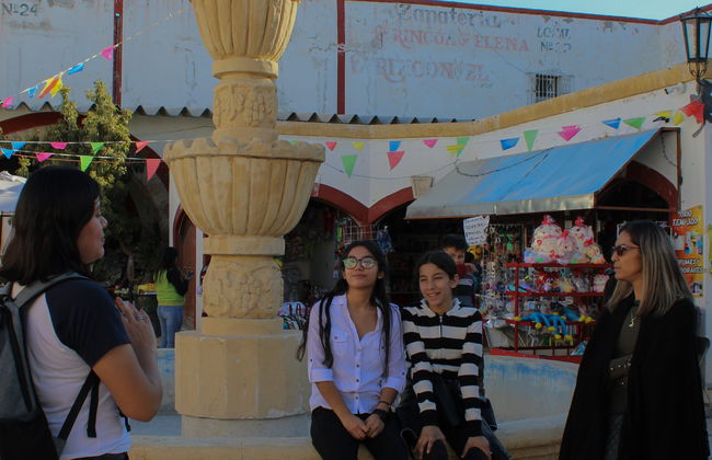 Visita guiada por Parras de la Fuente - Photo 8