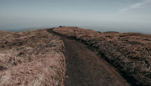Trilha privada pelo Etna e pelo vale Bove - Foto 5